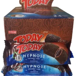 📦Caja de 24 Panquesitos Today Coconut