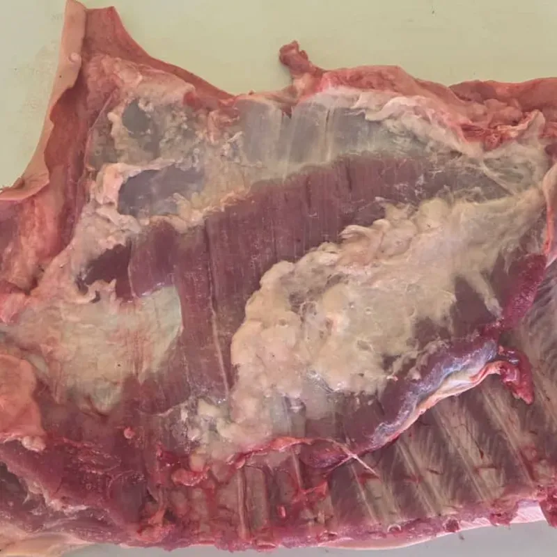 🐖 Costillar de cerdo 6.5 lb  - 