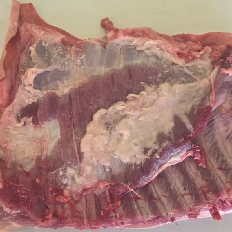 🐖 Costillar de cerdo 6 lb  - 