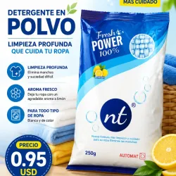 Detergente en polvo ( 250g)-