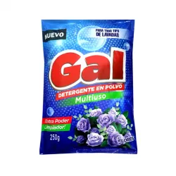 Detergente en Polvo Gal – 250 g 