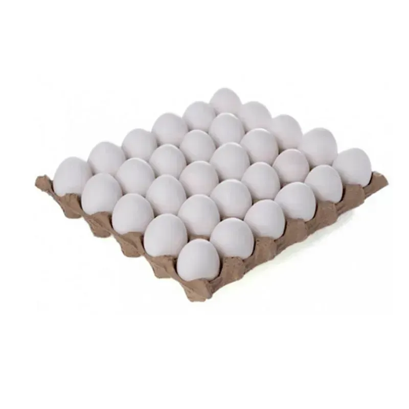 File de huevos 