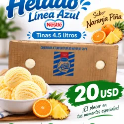 Helado Sabor Naranja Piña- Tinas 4.5 litros. - Nestlé Original