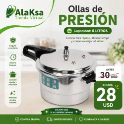 Olla de presión ( 5 litros )