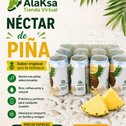 🍍- Pack de 12 latas de Néctar de Piña-