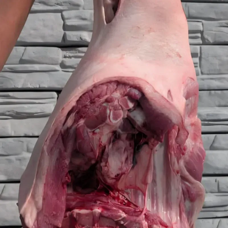 🐷Paleta de cerdo natural- 16.11 lb