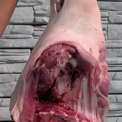 🐷 Paleta de cerdo natural- 16.69 lb