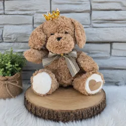 🧸Peluche Tierno
