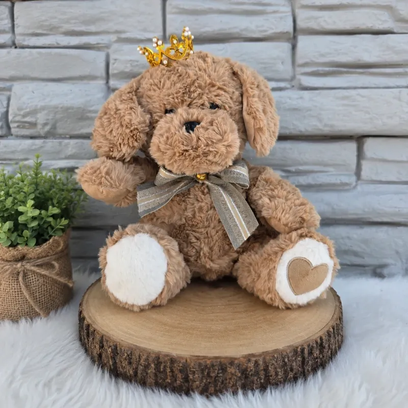 🧸Peluche Tierno