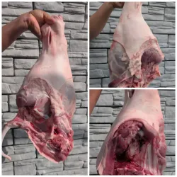 🍖 Pernil de Cerdo 14.70 lb — Carne Fresca  