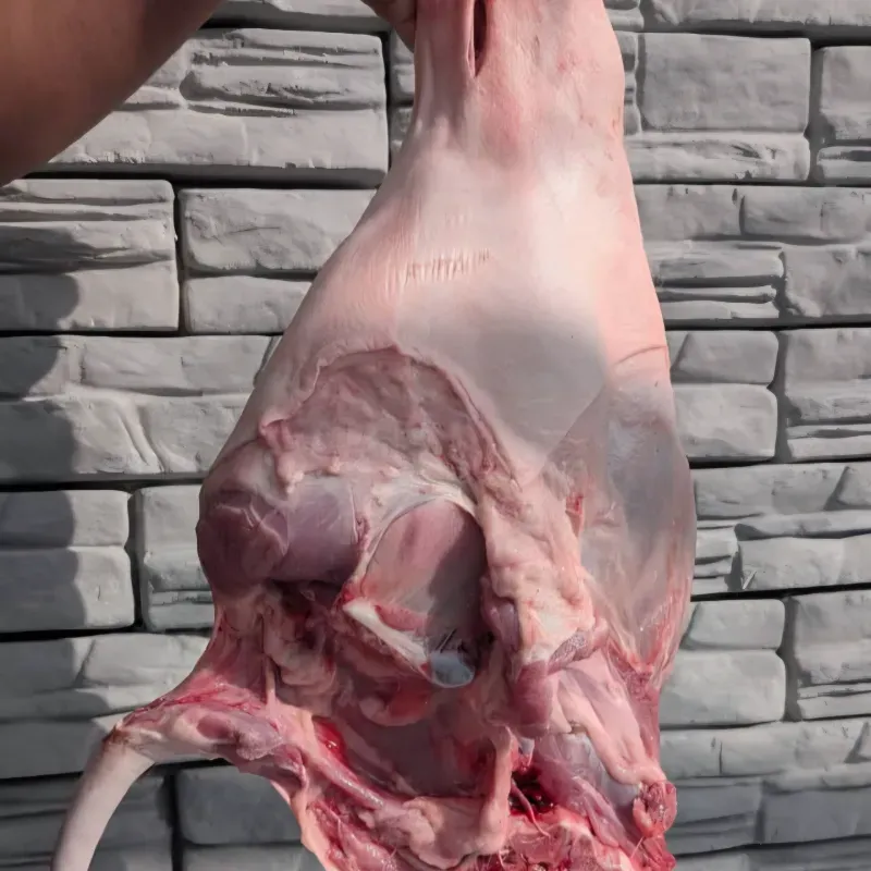 🍖 Pernil de Cerdo 13.20 libras — Carne Fresca -