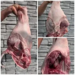 🐖 Pernil de Cerdo Natural  - 17.50 lb