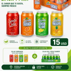 🧃Caja de  Refrescos Santa – 24 latas (330ml)  - Variado