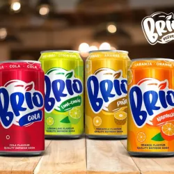🧃 Refresco Brío – Caja de 24 latas (330ml)  - 