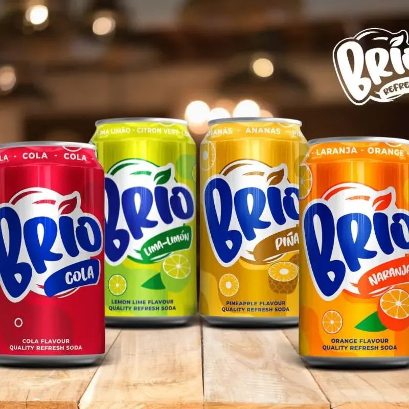 🧃 Refresco Brío – Caja de 24 latas (330ml)  - 