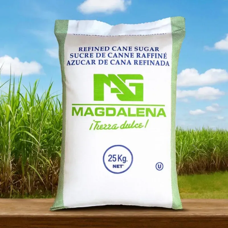 Saco sellado de azúcar (25kg/55 lb )