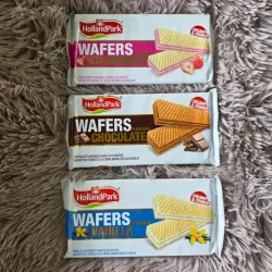 Sorbetos HollandPark ( Fresa, chocolate y vainilla)