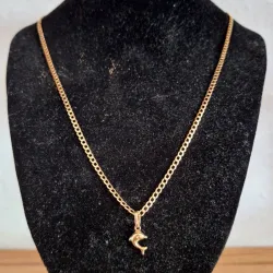 Cadena Delfin