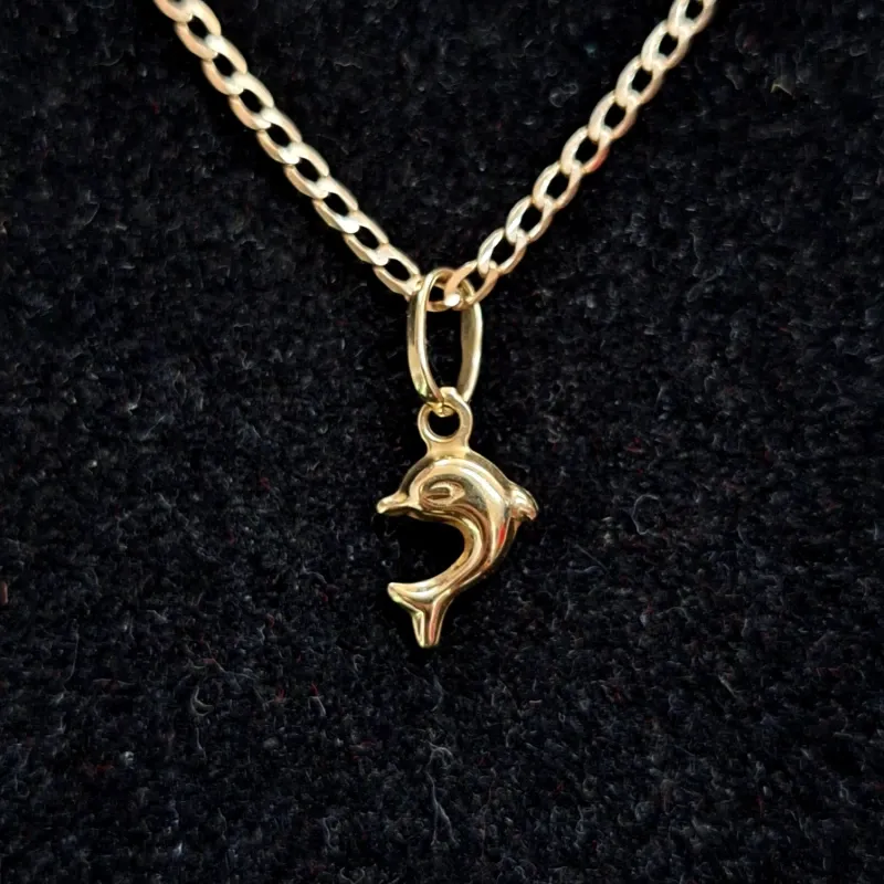 Cadena Delfin