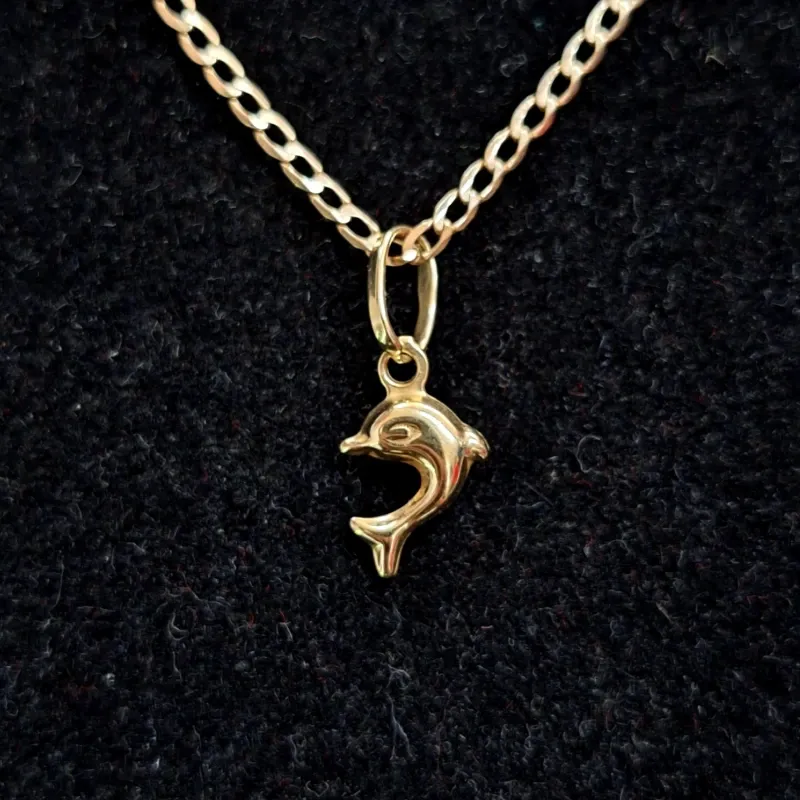 Cadena Delfin