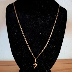 Cadena Delfin