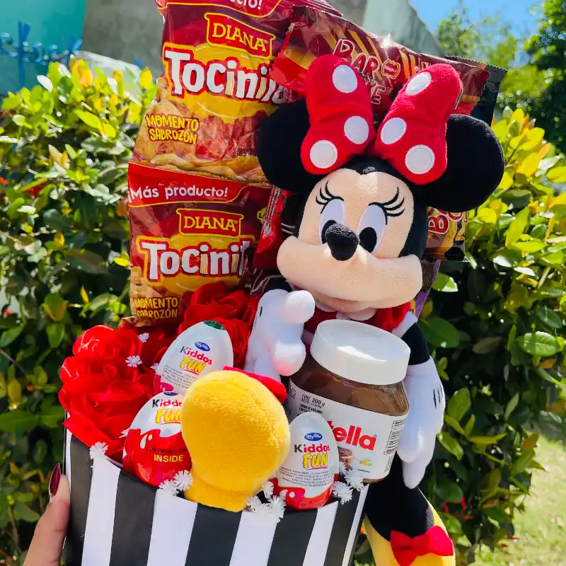 ✨Caja Premiun de Minie Mouse✨