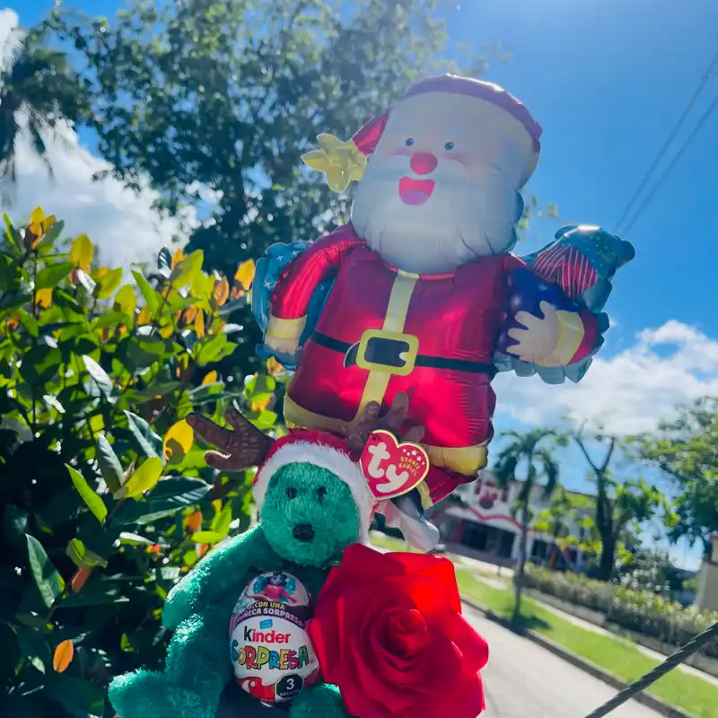 ✨Detalle pequeño de navidad✨