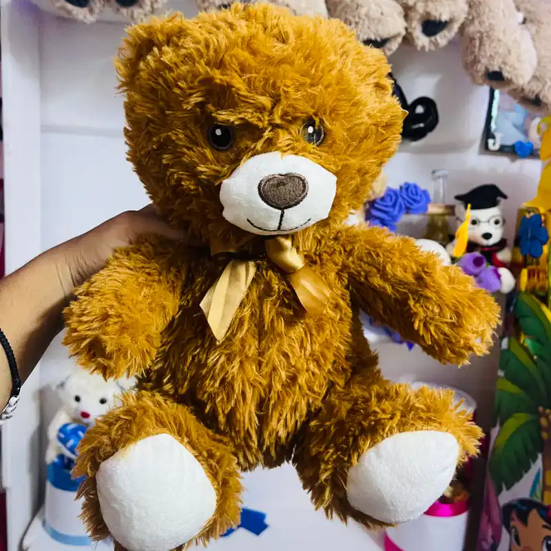 ✨Osito cariñoso✨