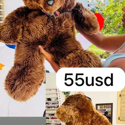 ✨Oso Gigante peludo✨