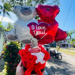 ✨Osos de amor❤️