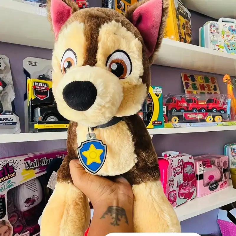 ✨Paw Patrol✨