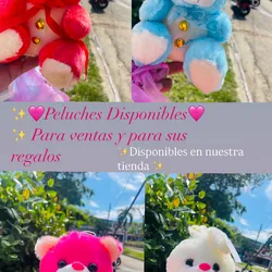 ✨Peluches de Ositos 20cm✨