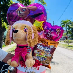 ✨Temática paw patrol✨