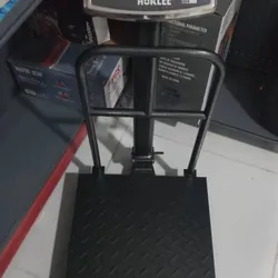 Balanza digital hasta 300 kg