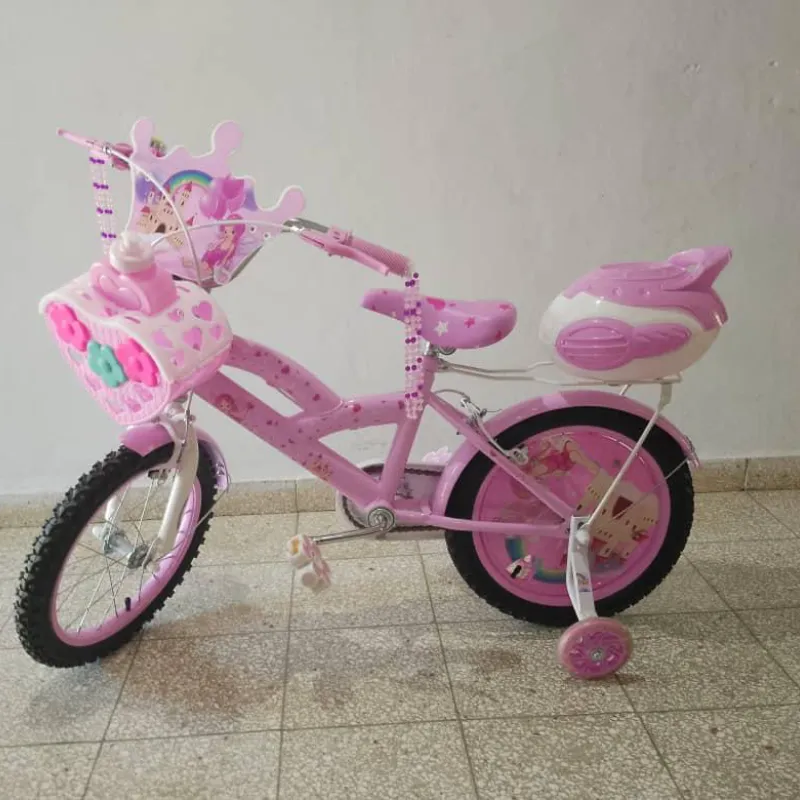 Bicicleta 12