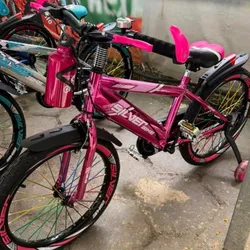 Bicicleta 20” SilverBike 