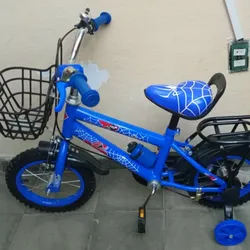 Bicicleta 12