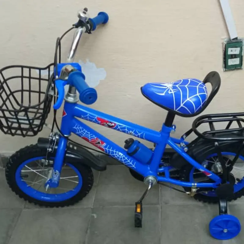 Bicicleta 12