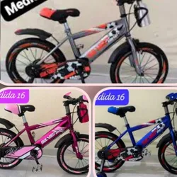 Bicicleta Silverbike 16”