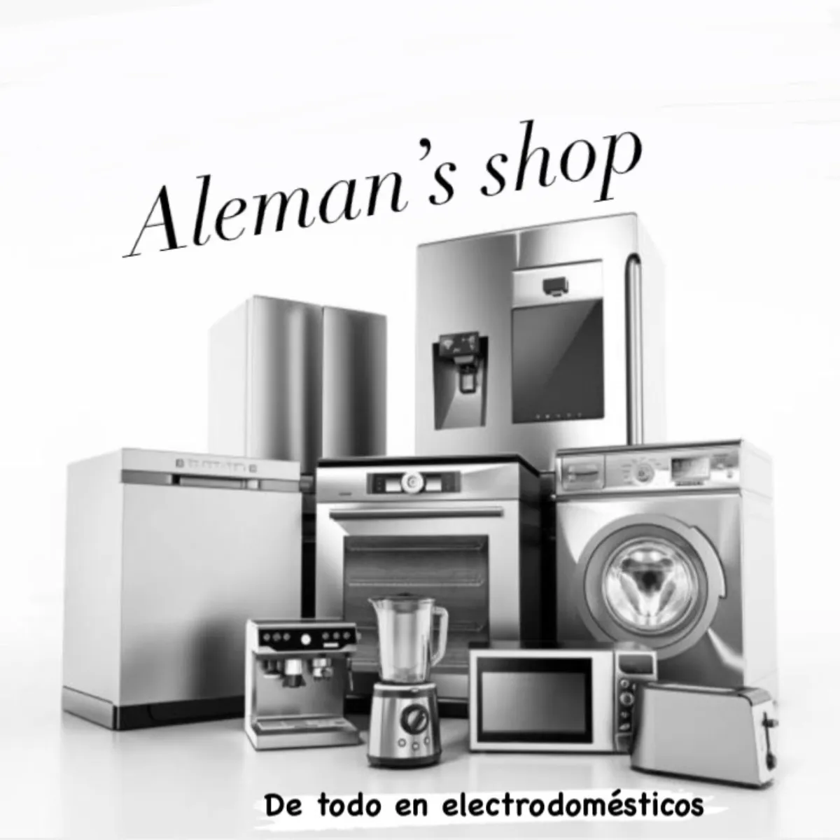 Aleman’s shop