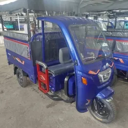 Triciclo vedca 60x90