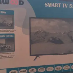 TV Wynwood 55”