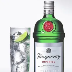 Ginebra