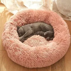 CAMA (ROSA)