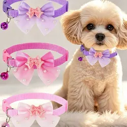 COLLAR CON LAZO