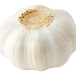 Cabeza de ajo importado