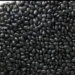 Frijoles Negros