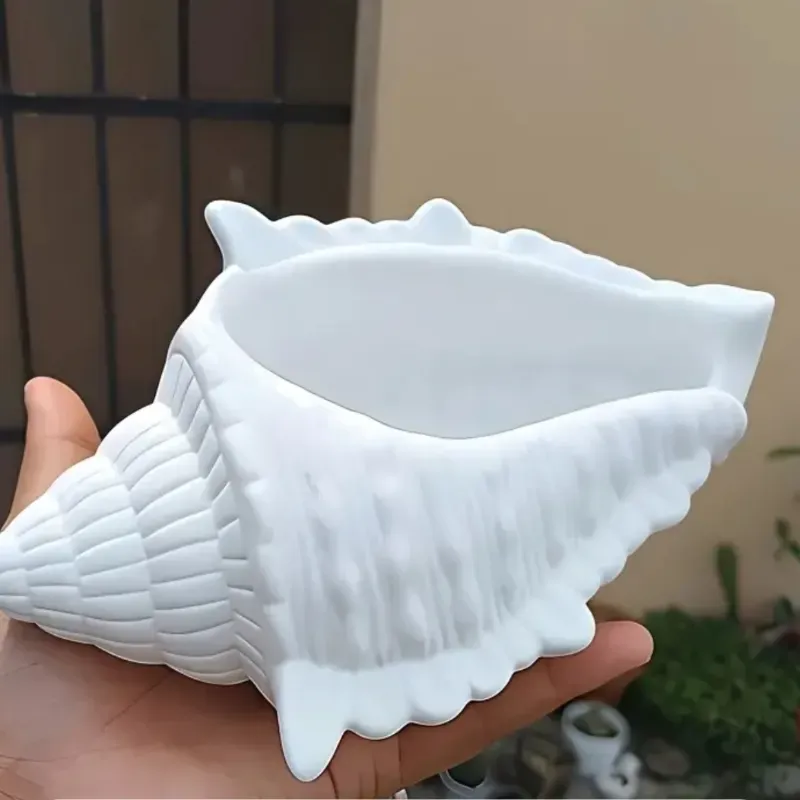 Caracol Gigante 