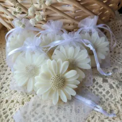 Vela de Margarita pars Eventos