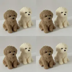Vela de Perro 